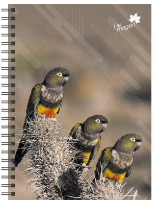 CUADERNO TRIPLE PAISAJES Y FAUNA