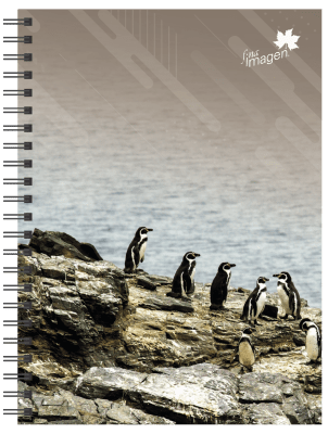 CUADERNO TRIPLE PAISAJES Y FAUNA