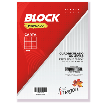 BLOCK APUNTES FINA IMAGEN CARTA M7 80 HJS