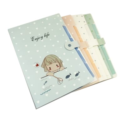 CARPETA PLASTICA FUELLE