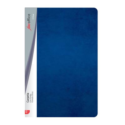 CARPETA 40 FUNDAS