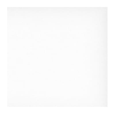 CARTULINA BLANCA 180 GRS 77X110 250HJS1