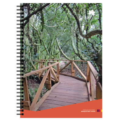 CUADERNO TRIPLE PAISAJE