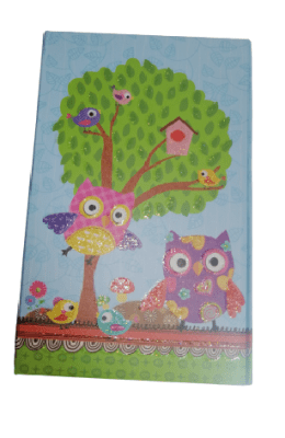 SET ORGANIZADOR LIBRETA-TACO-AGENDA2