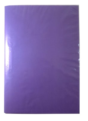 CARPETA PLÁSTICA SIN ACCOCLIP MORADO