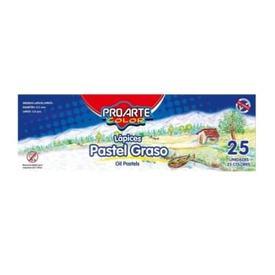 LAPIZ PASTEL 25 COLORES GRASO