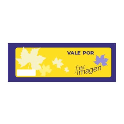 TALONARIO VALE POR PREPICADO 100HJS