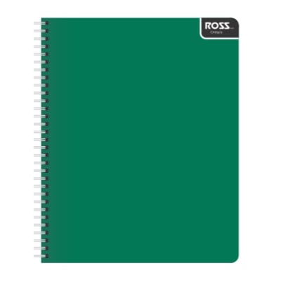 CUADERNO UNIVERSITARIO CROQUIS 100HJS ROSS