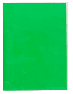 CARPETA PLÁSTICA SIN ACCOCLIP VERDE CLARO
