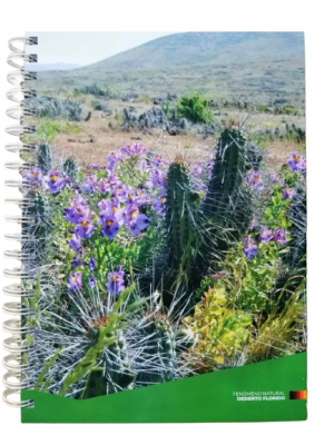 CUADERNO TRIPLE