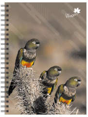 CUADERNO TRIPLE PAISAJES Y FAUNA