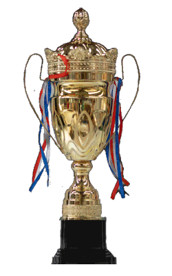 Copa Trofeo Dorado Deportivo 70 cm