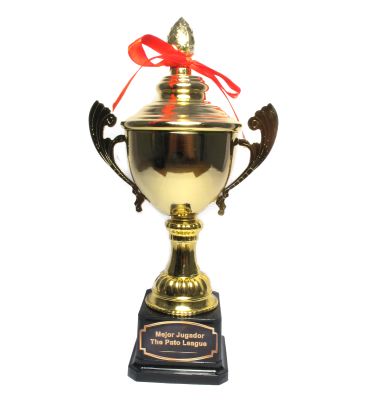 Copa Trofeo metalico 25cm
