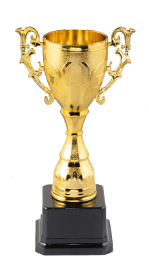 Copa Trofeo Dorado Resina/Plástico 20 cm