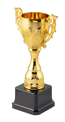 Copa Trofeo Dorado Resina/Plástico 20 cm