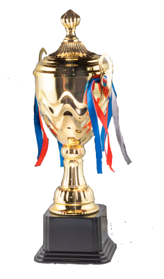 Copa Trofeo Dorado 40 cm