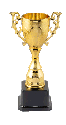 Copa Trofeo Dorado Resina/Plástico 20 cm