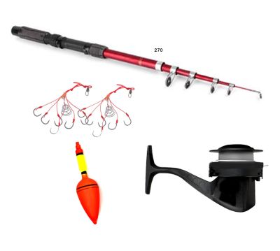 Set Caña de pescar 2.70mts