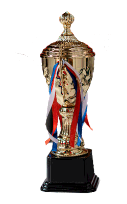 Copa Trofeo Dorado 35 cm