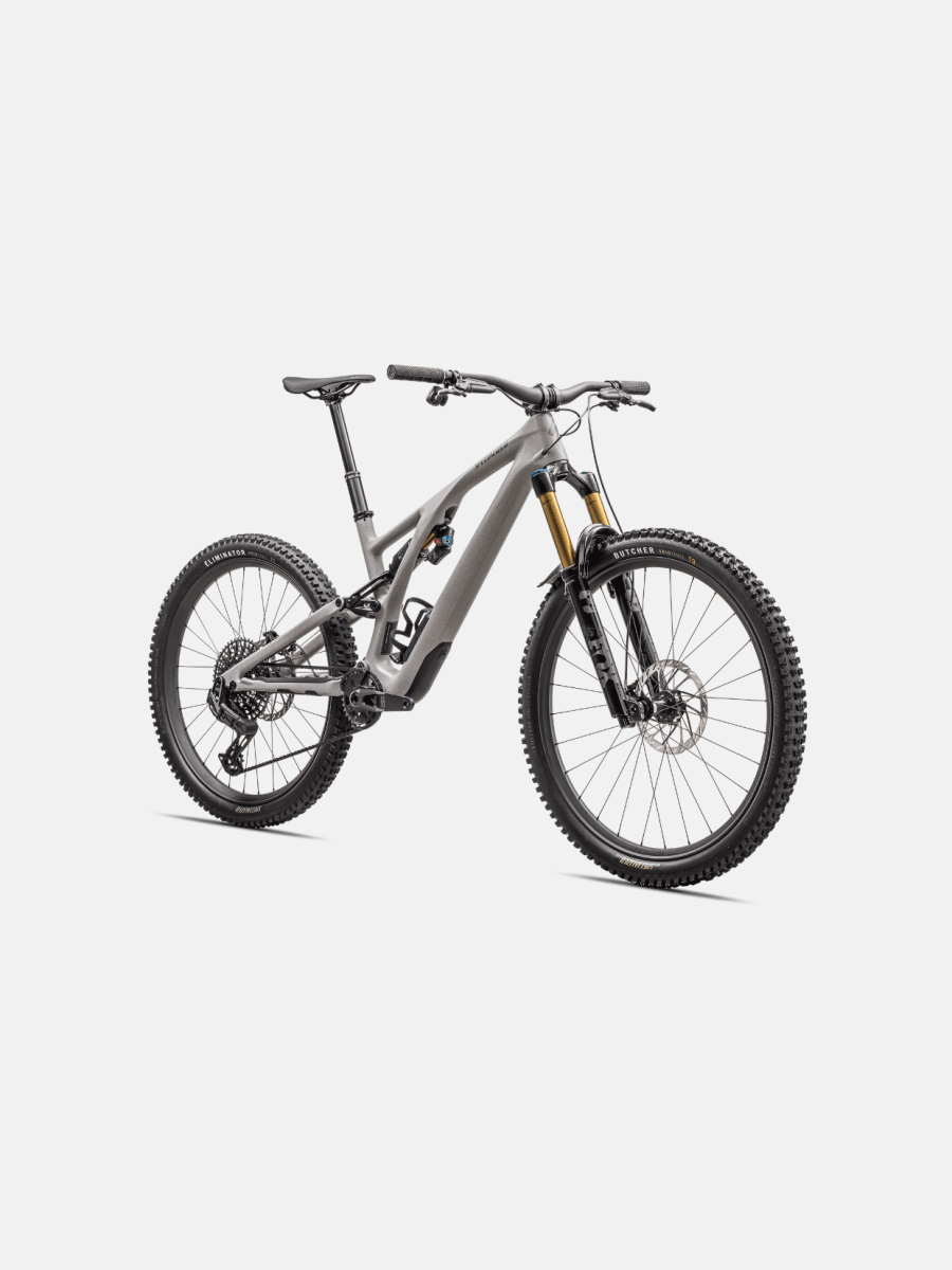 Stumpjumper Evo Pro2