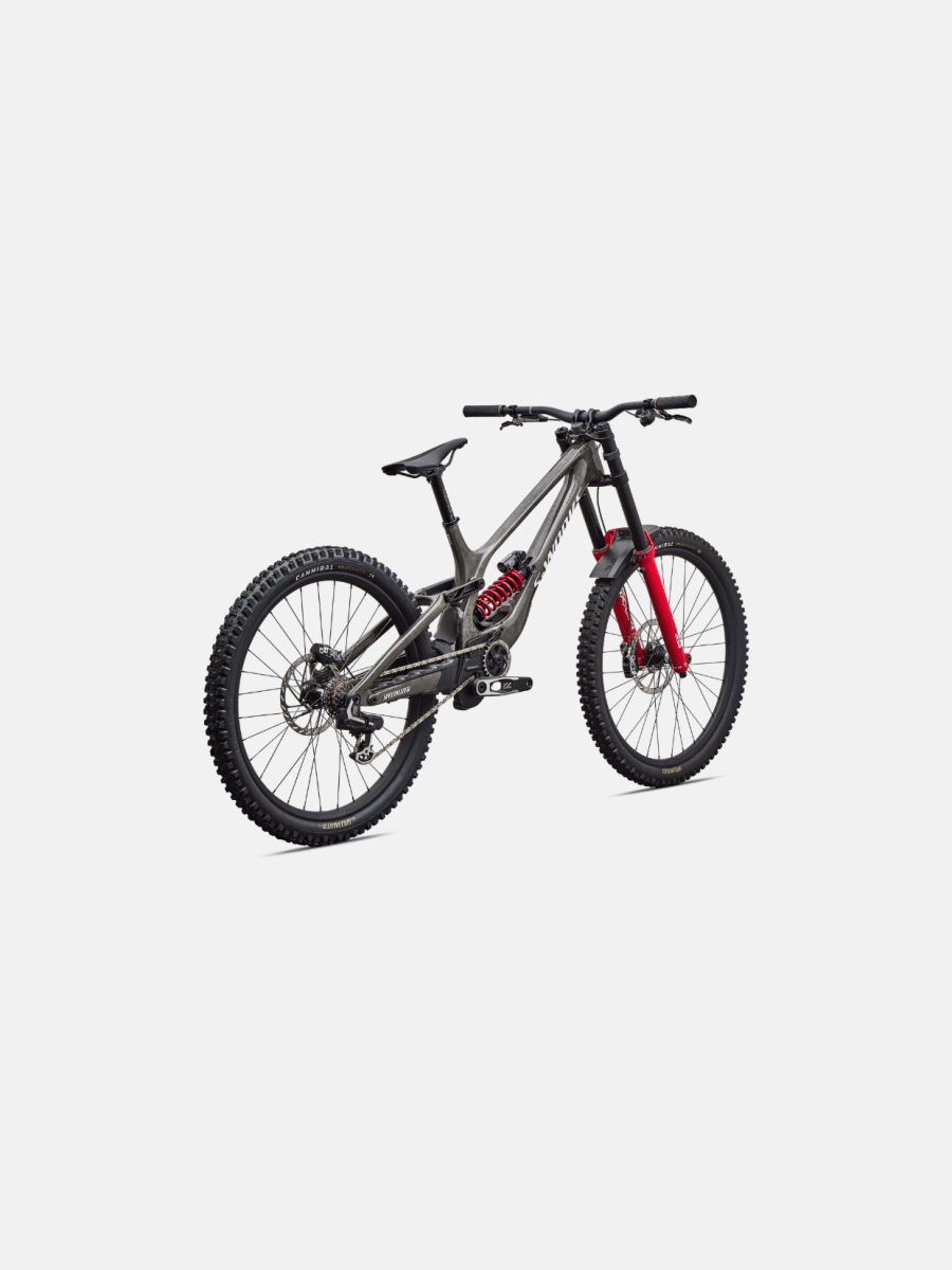 S-Works Demo 113