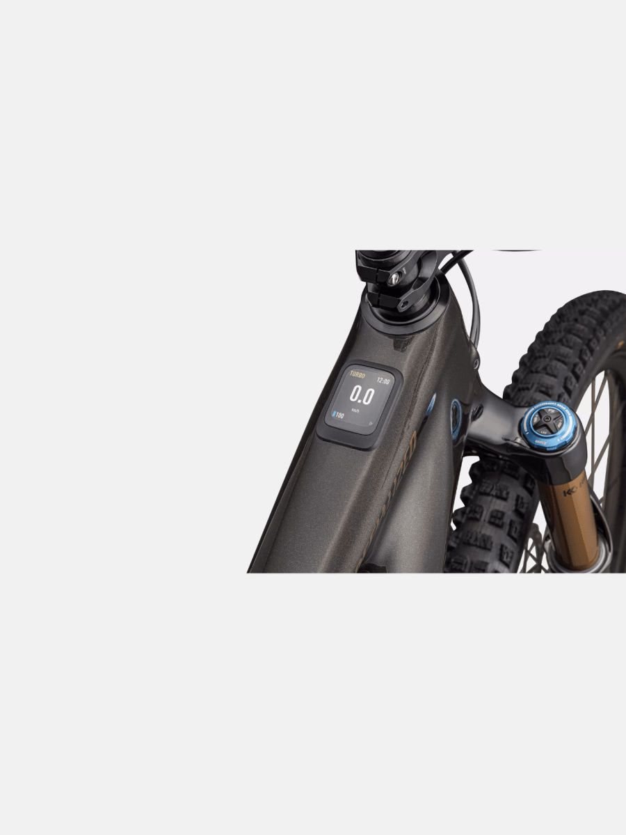 Turbo Levo 4 Pro5