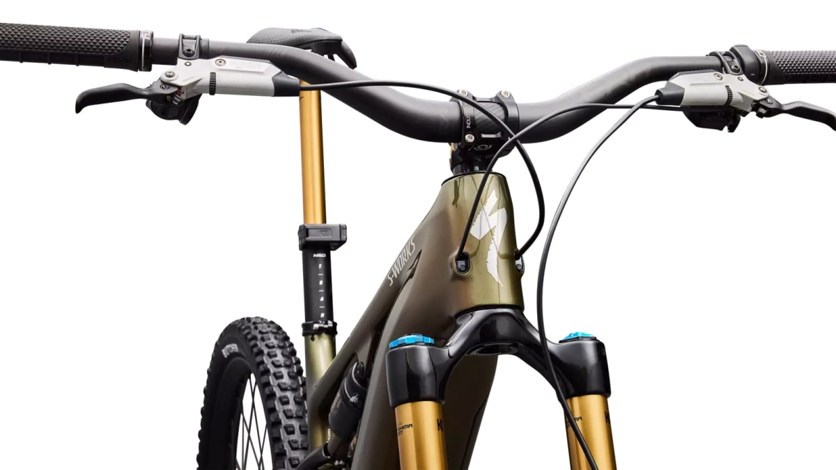 S-Works Turbo Levo 419