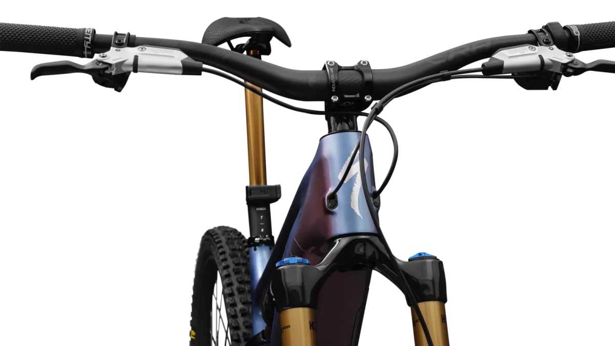 S-Works Turbo Levo 448