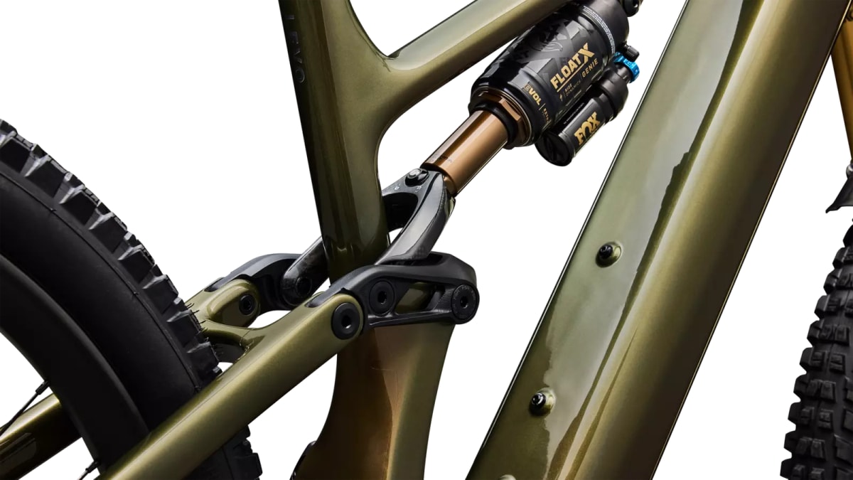 S-Works Turbo Levo 4 22