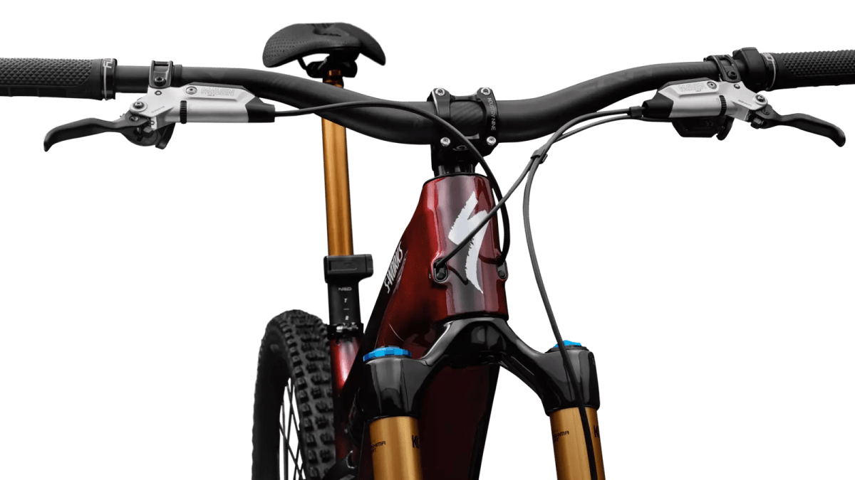 S-Works Turbo Levo 43