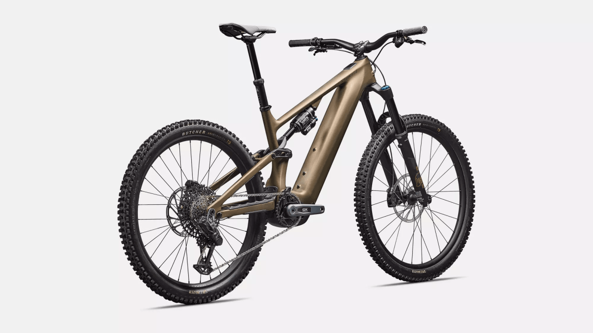 Levo Expert Carbon G42