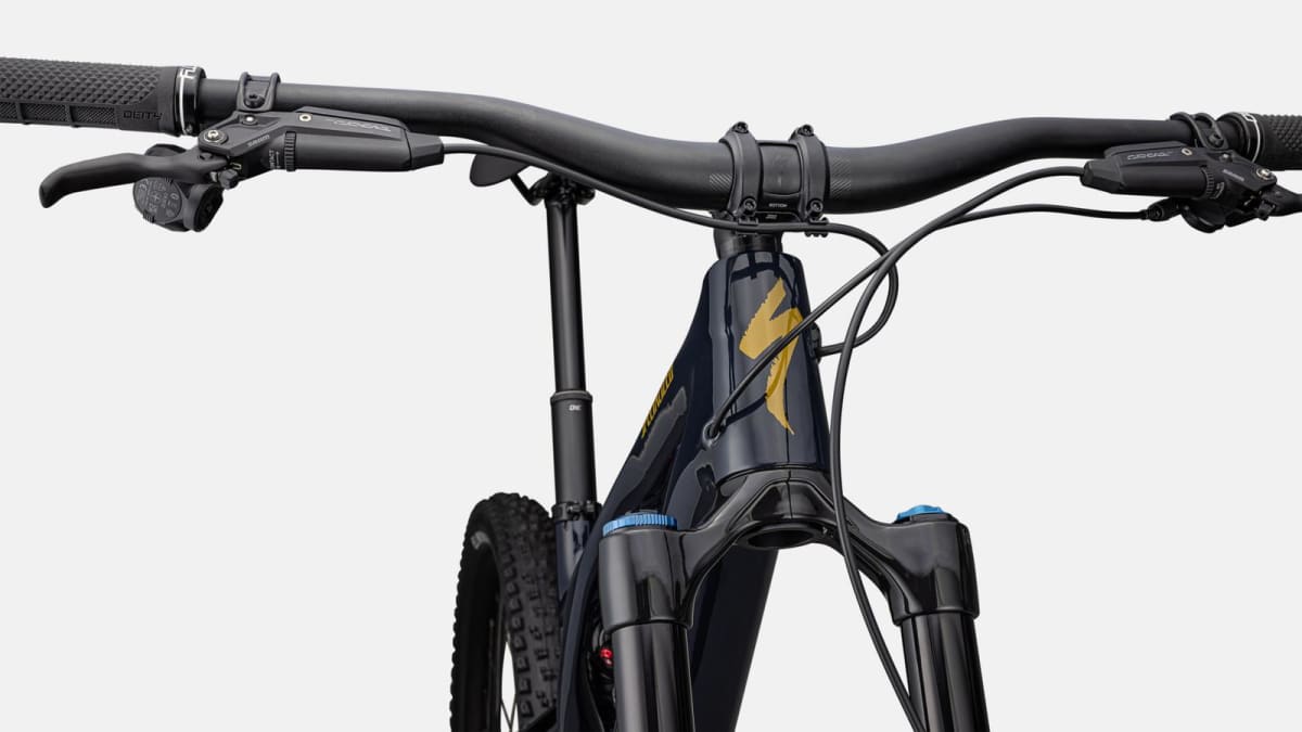 Stumpjumper Evo Expert T-Type11