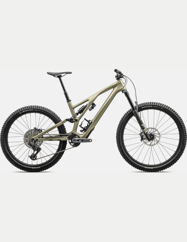 Stumpjumper Evo Expert T-Type1