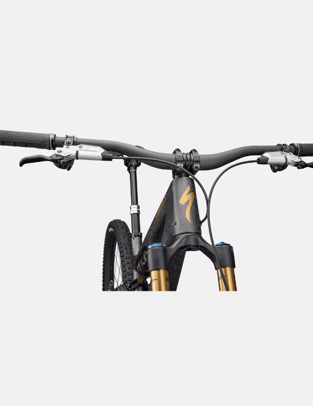 S-Works Stumpjumper 156
