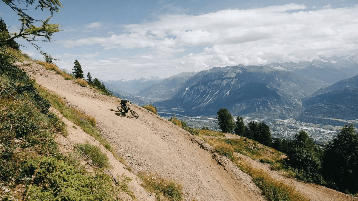 S-Works Turbo Levo 4 12