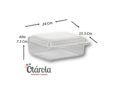 Envase Plastico 401A1