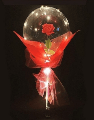 Globo burbuja & Flores Rojas + LED