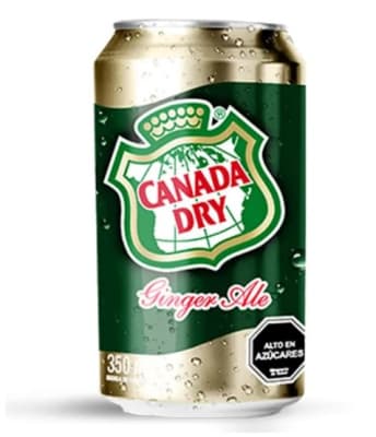 bebida canada dry 350ml.