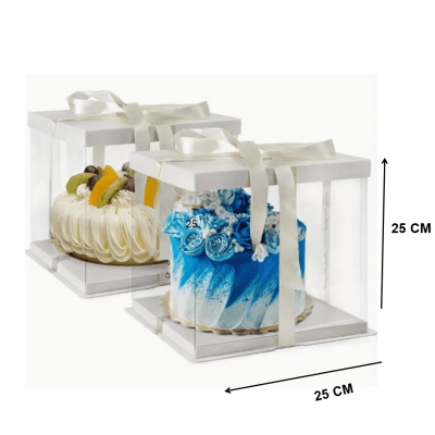 Caja Torta Plastica 25x25cms