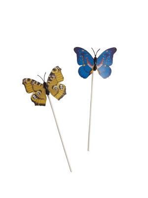 Topper Mariposa 2 piezas