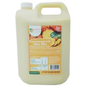 Concentrado Piña (1+19) 5 Lt. Macrofood.