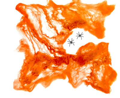 Telaraña Naranja Halloween Party1