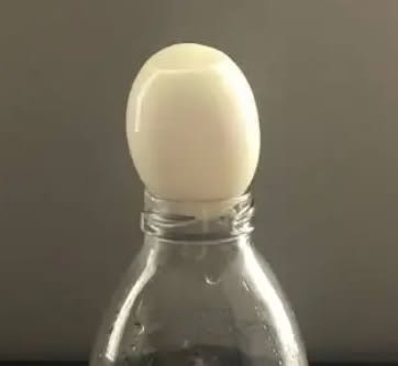 Actividad de Huevo en Vacío