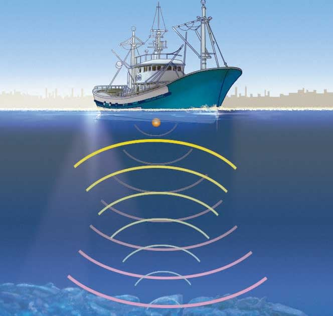 Experimento de Sonido