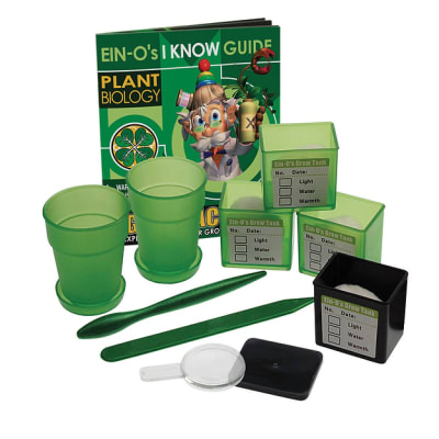 SET BIOLOGÍA DE LAS PLANTAS X41