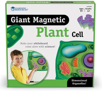 CÉLULA VEGETAL IMANES GIGANTES3