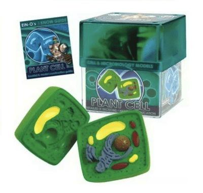 MODELO CÉLULA VEGETAL1