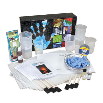 ERUPCIONES VOLCÁNICAS1