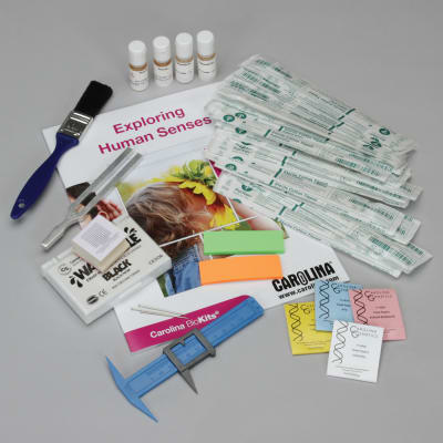 EXPLORANDO LOS SENTIDOS HUMANOS BioKits®1