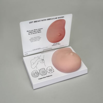 MODELO MAMA HUMANA CON MASAS IRREGULARES1